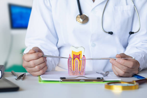 Best Emergency Dentist for Lost Fillings or Crowns in Cocoa, FL